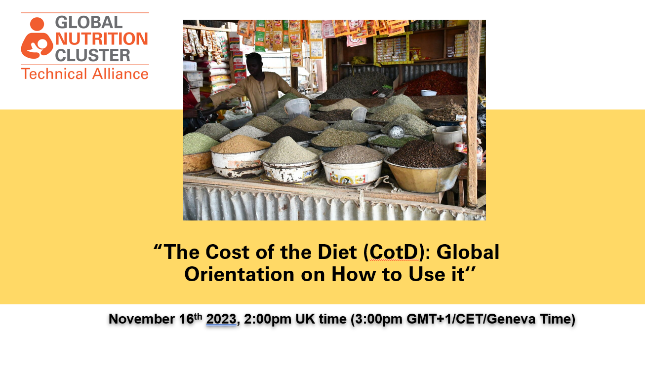 The Cost of the Diet (CotD): Global Orientation on How to Use it