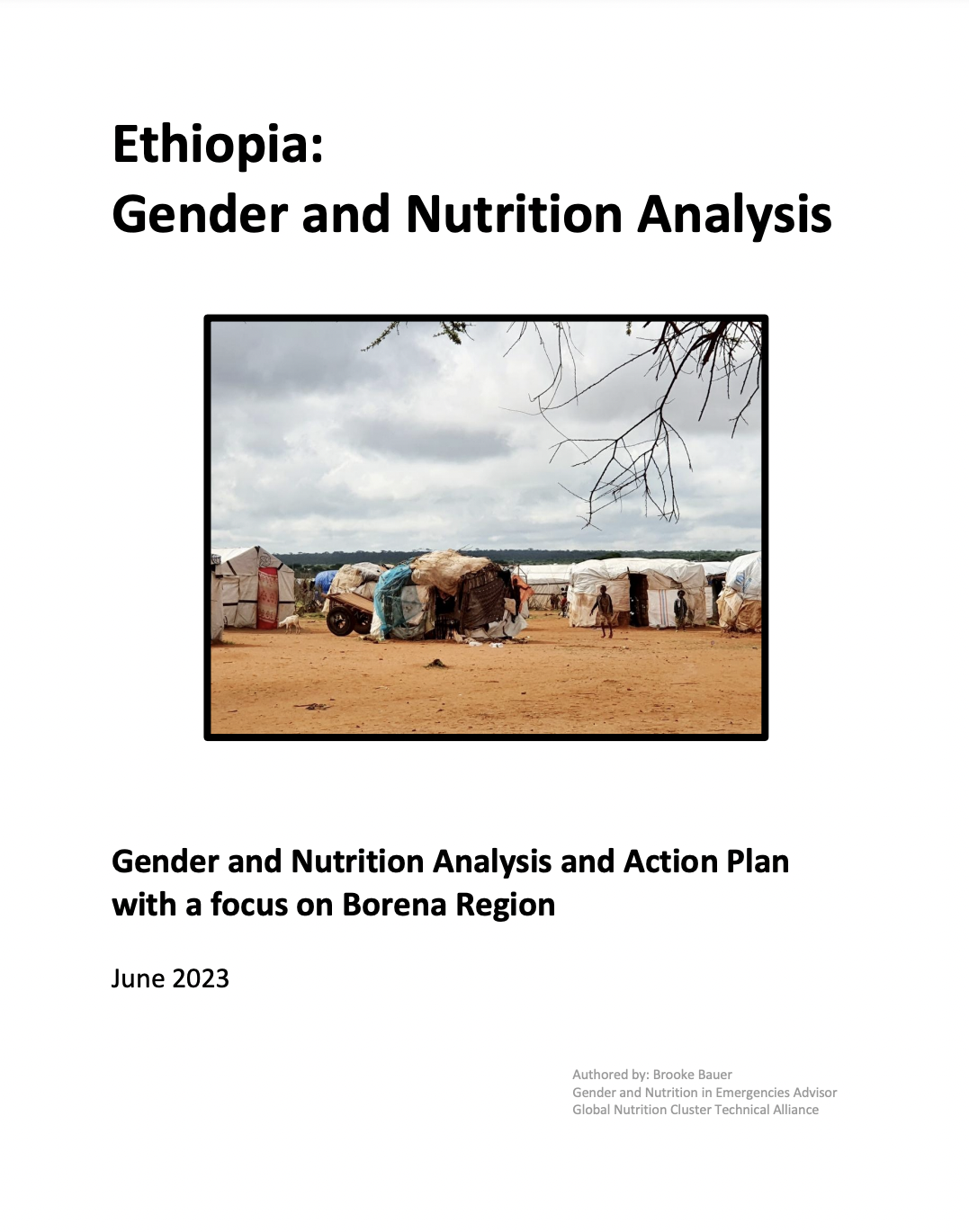 Ethiopia Gender & Nutrition Analysis