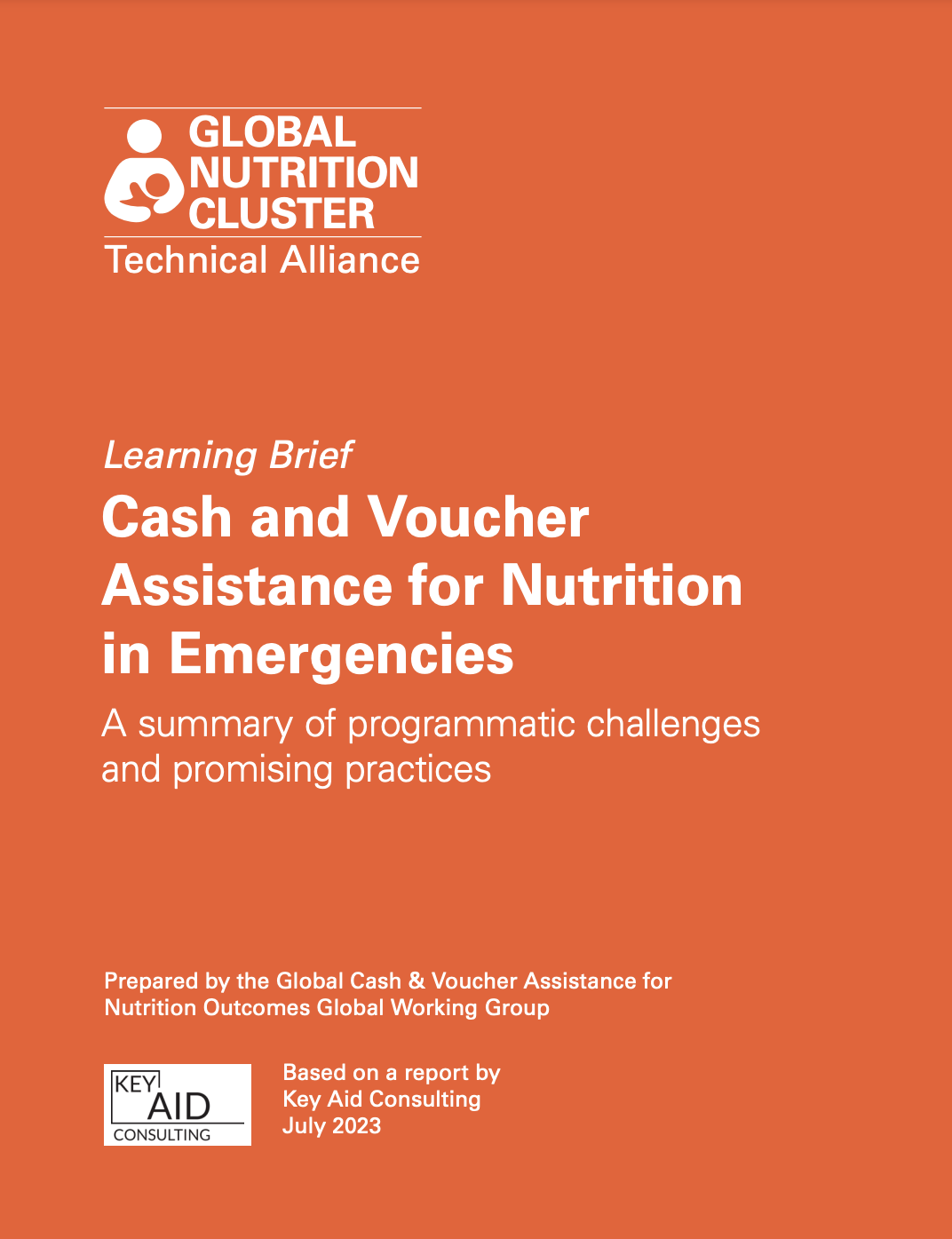 Cash and Voucher Assistance for Nutrition in Emergencies: A Summary of Programmatic Challenges and Promising Practices
