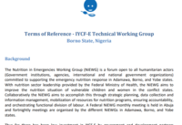 IYCF-E Termes of Reference for  Borno Nigeria Technical Working Group 