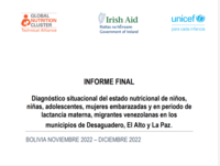 Report- Situation diagnosis of nutrition status of migrant Venezuela Children, adolescents and pregnant and lactating women to Bolivia