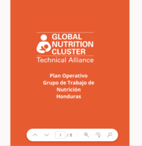 Operational Plan- Nutrition Working Group- Honduras