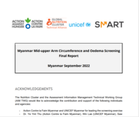 Myanmar IYCF-E and MUAC final report