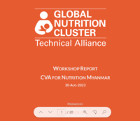 Myanmar- CVA nutrition report 