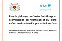 Burkina Faso IYCF-E Nutrition Cluster Advocacy Plan