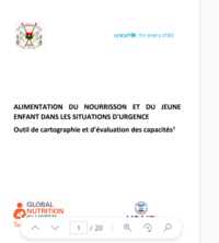 Burkina Faso IYCF-E capability mapping and assessment tool